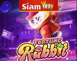 qual o melhor horário para jogar o fortune rabbit ícone